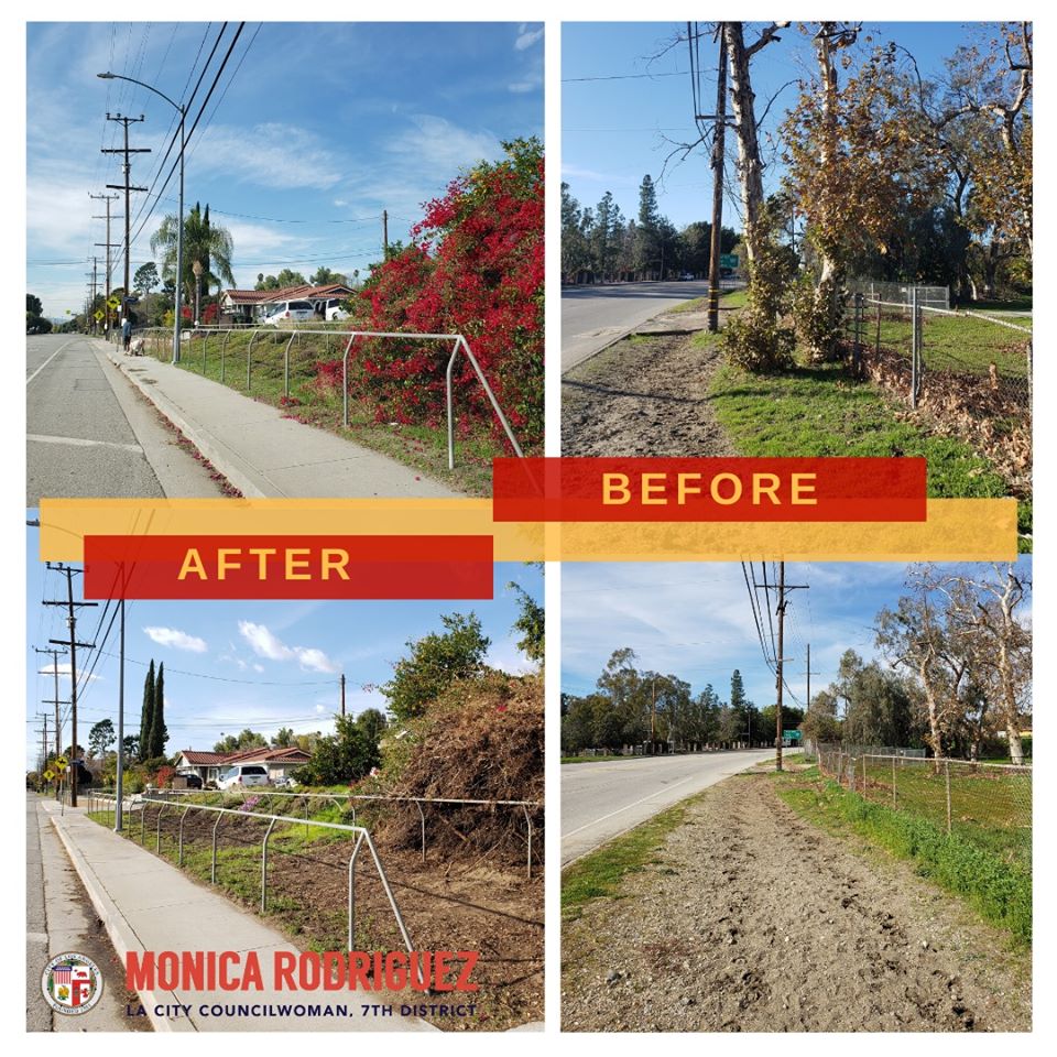 Councilwoman Monica Rodriguez - Dead Trees Removal Foothill Blvd