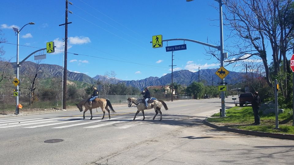 Councilwoman Monica Rodriguez - Redesign Foothill Blvd.