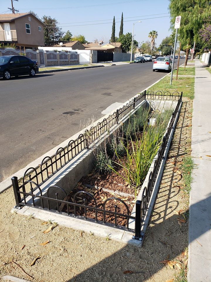 Councilwoman Monica Rodriguez - Bioswales at Van Nuys Blvd.