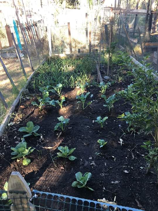 From Councilwoman Monica Rodriguez Desk - 50th Anniversary of Earth Day 