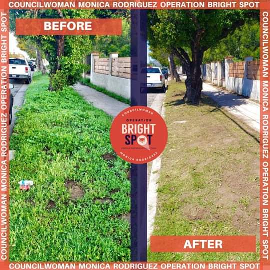 Councilwoman Monica Rodriguez  - Progress Made Through Operation Bright SPOT