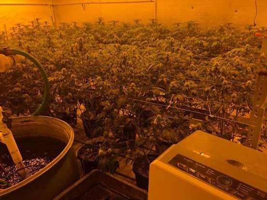 Councilwoman Monica Rodriguez  -  State-Licensed Certified Cannabis Testing Laboratories to Test Cannabis and Cannabis Products