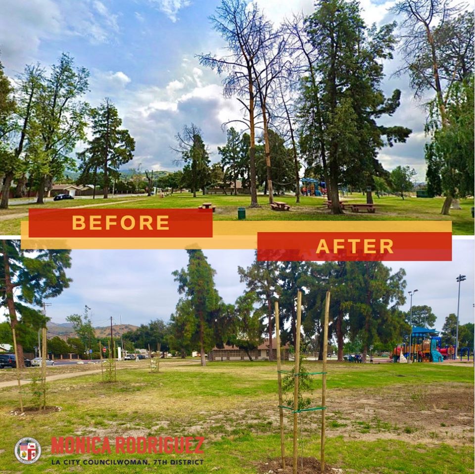 Addition of Thirty New Climate Resilient Trees at Stonehurst Park