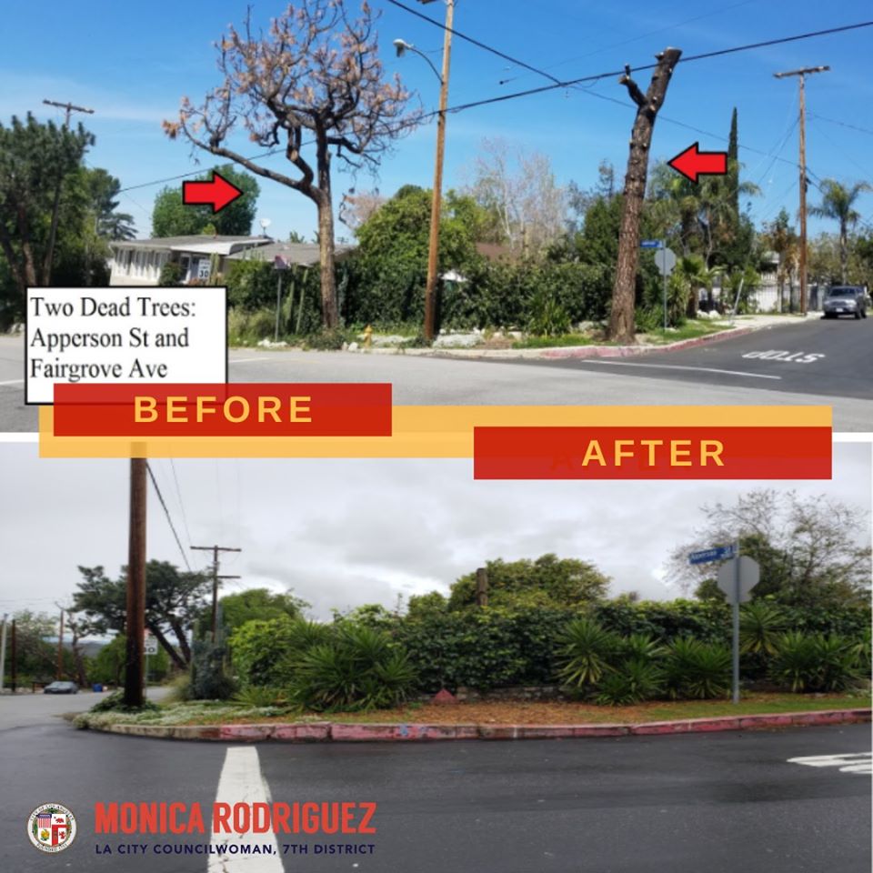 Regarding Dead Trees at Fairgrove Avenue and Apperson Street