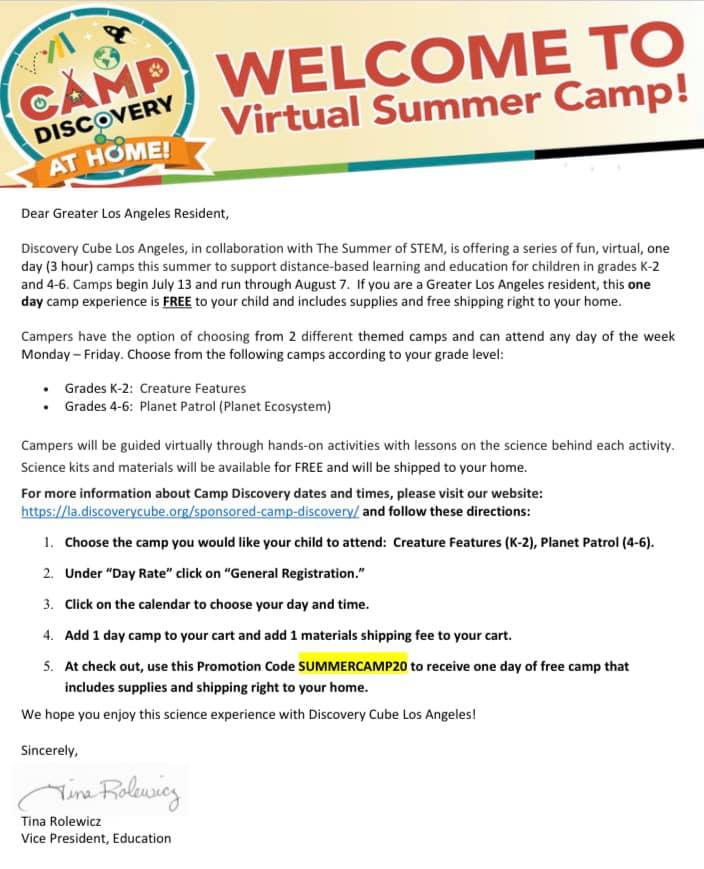 Virtual Summer Camp