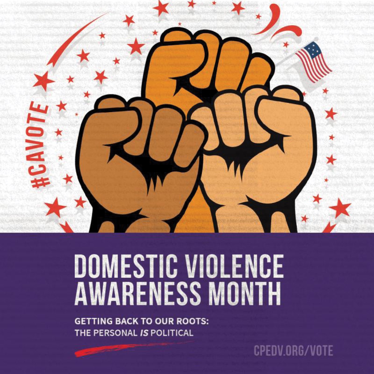 SafeatHome Program to Vote Confidentially 