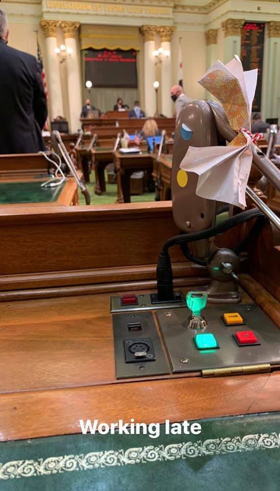 Voted on Measures to Respond to the COVID-19 Pandemic