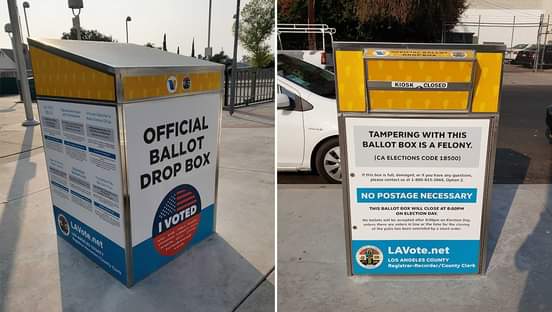 2020 General Election