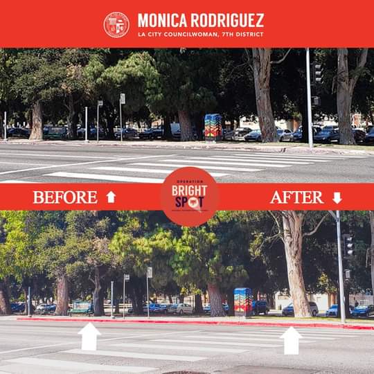 From Councilwoman Monica Rodriguez Desk -  Neighborhood Cleanup Program 