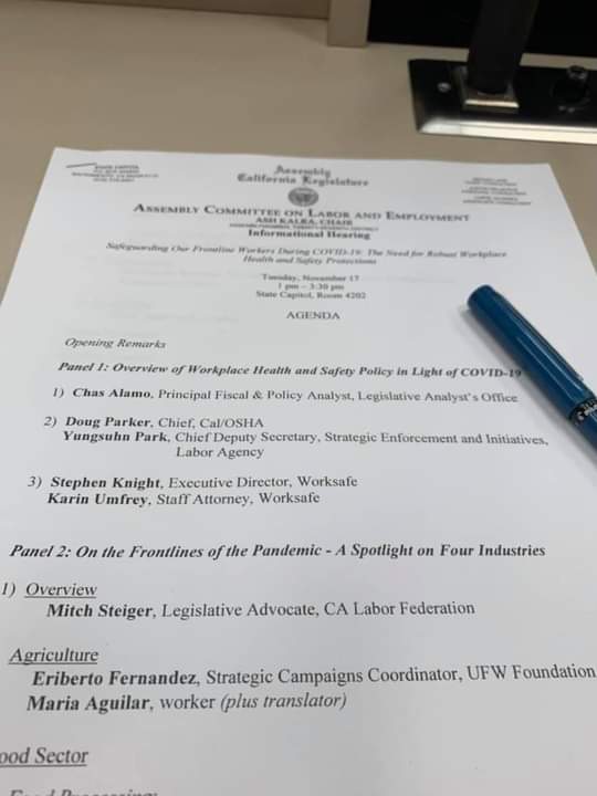 Assembly Labor Committee Hearing on Workplace Safety 