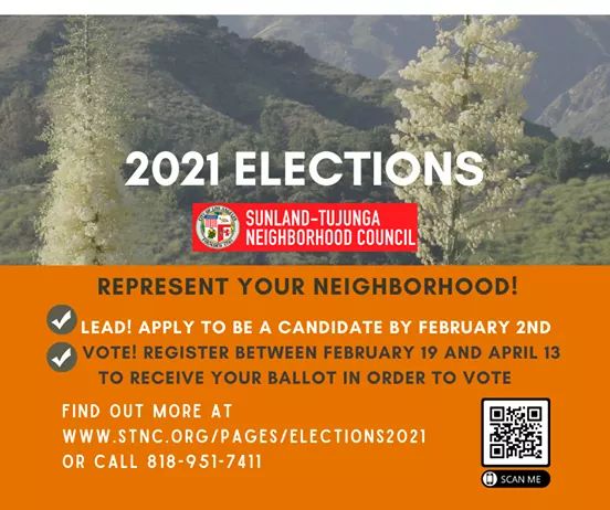 2021 Elections