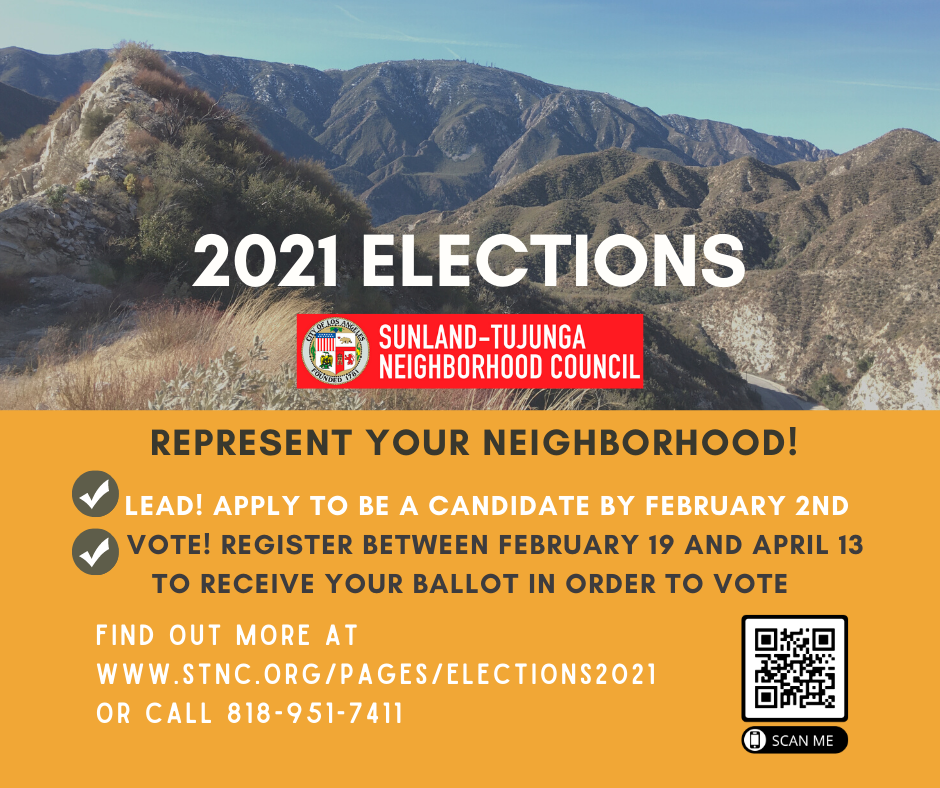 WHAT DO NEIGHBORHOOD COUNCIL MEMBERS DO? 