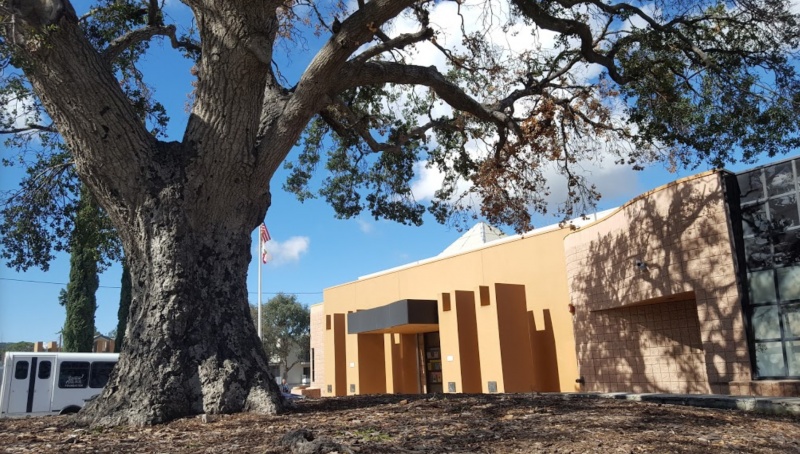 Sunland Tujunga Neighborhood Council Library Oak