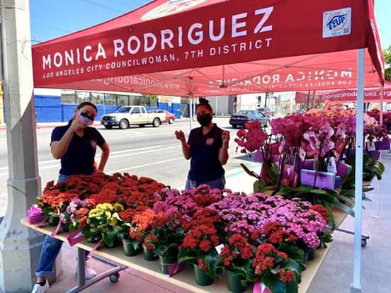 Councilwoman Monica Rodriguez  - Mother’s Day Flower Giveaway  