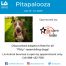 L.A. Animal Services Pitapalooza July 10-12, 2020
