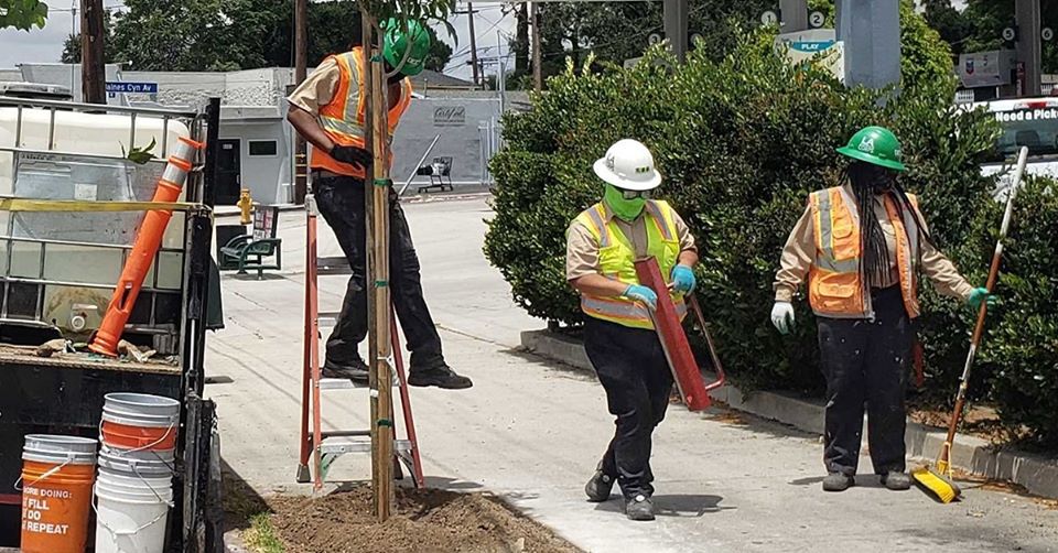 planted 57 new street trees along Foothill Blvd