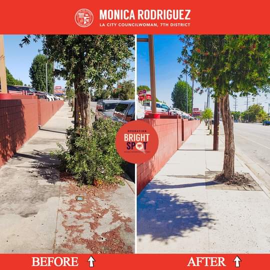 From Councilwoman Monica Rodriguez Desk -  Neighborhood Cleanup Program 