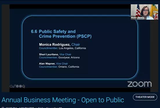 2020 Chair of the National League of Cities Public Safety and Crime Prevention Committee 