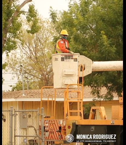 Tree Trimming Requests in Sylmar