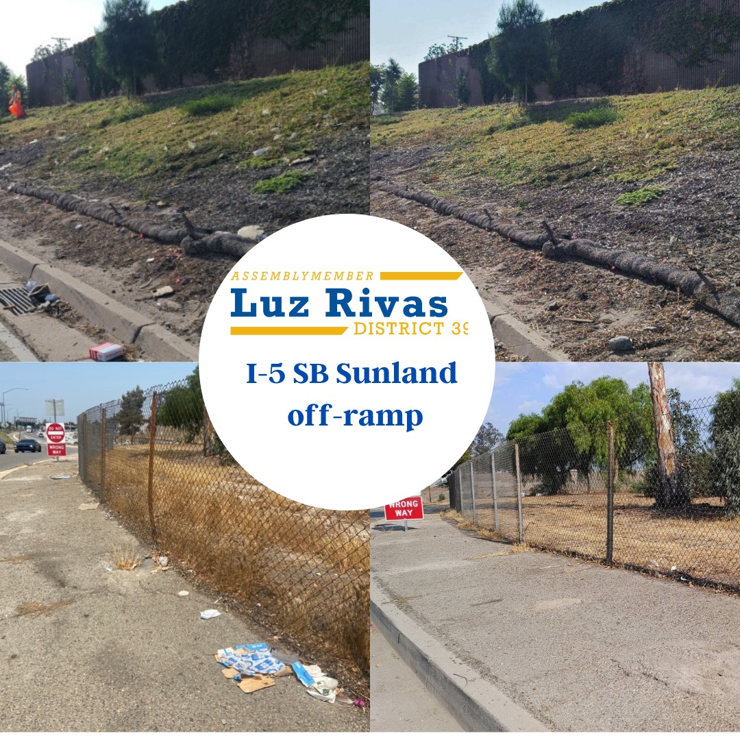 Beautification Clean-Up on the I-5 Sunland Blvd