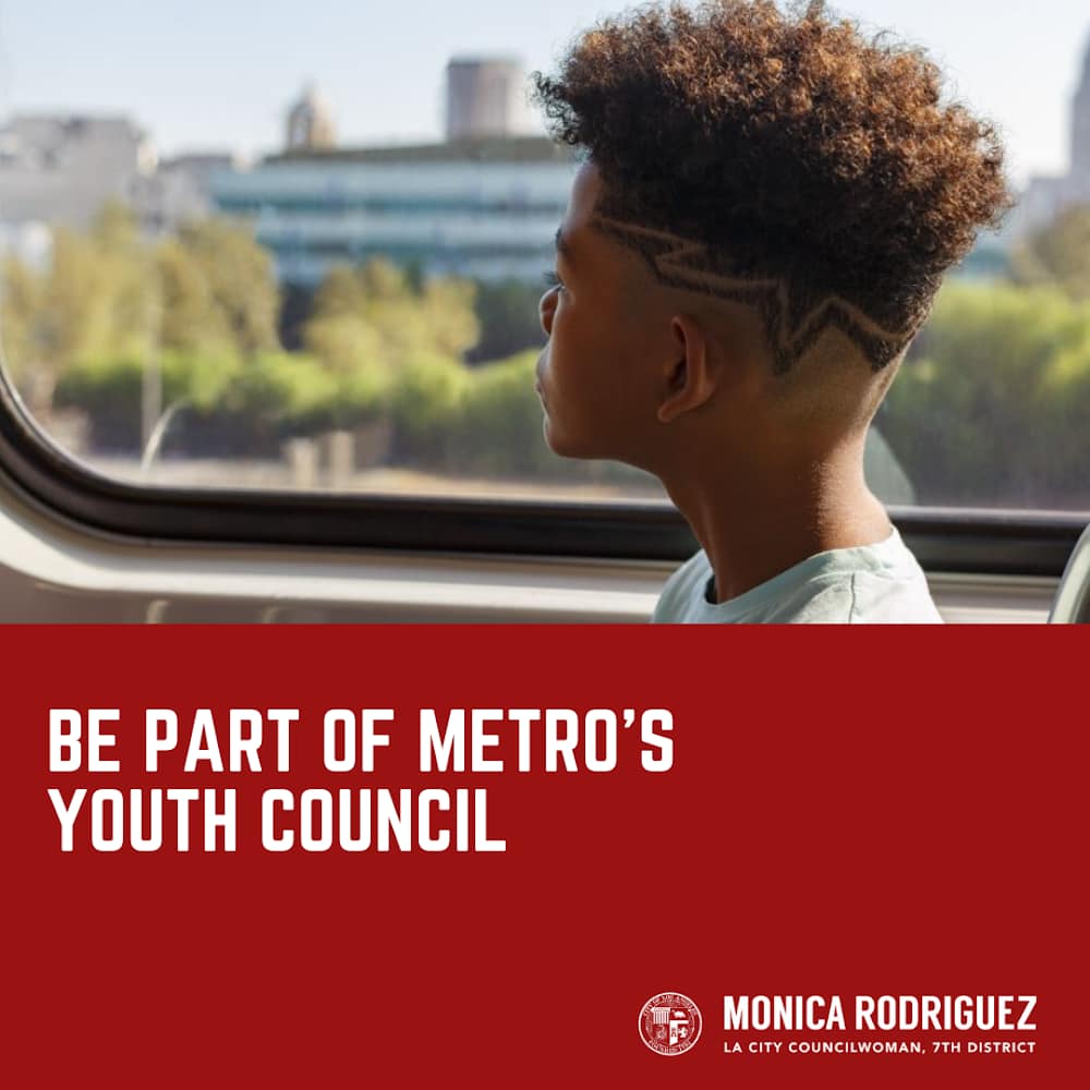 First Youth Council for Metro