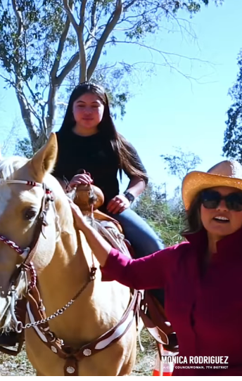 Horse License and Microchip Event