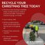 Ready to Recycle Your Christmas Tree