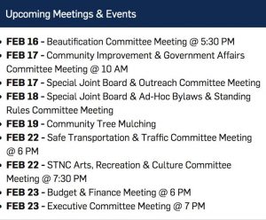 STNC Meetings this Week