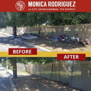 Illegal Dumping Items in the 11100 block of Stranwood Avenue