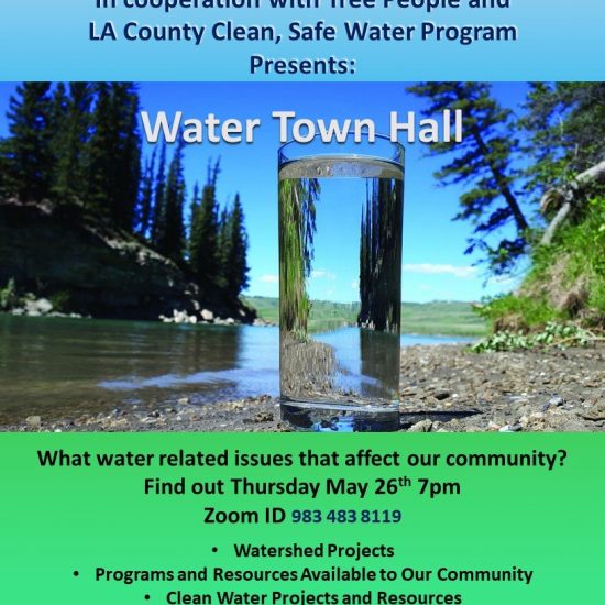 What Water Issues that Affect our Community
