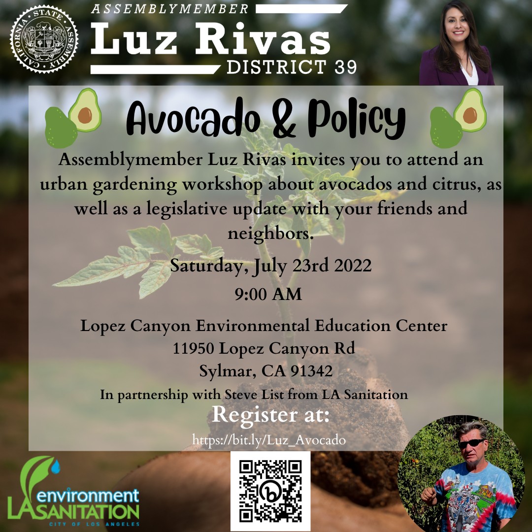 Hosting an Urban Gardening Workshop