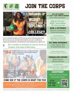 LACC is Looking to Hire Youth between the Ages of 18-26