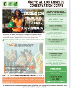 LACC is Looking to Hire Youth between the Ages of 18-26