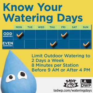 Water Conservation - Know Your Watering Days