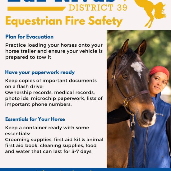 For Equestrians - Essentials to Keep in Mind in Case of a Fire Emergency