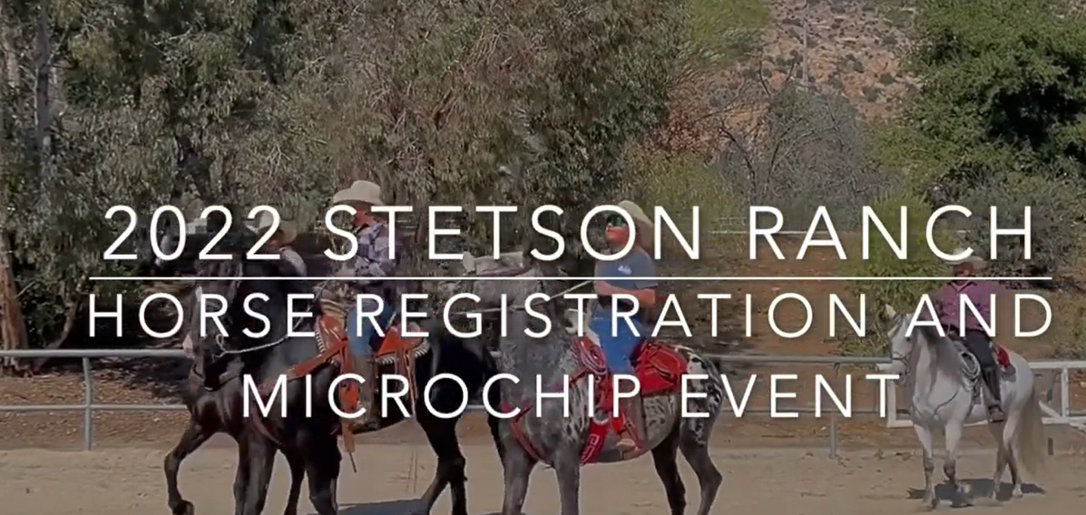 Second Annual Horse License and Microchip Event