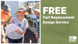 FREE Turf Replacement Design Service