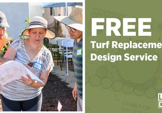 FREE Turf Replacement Design Service
