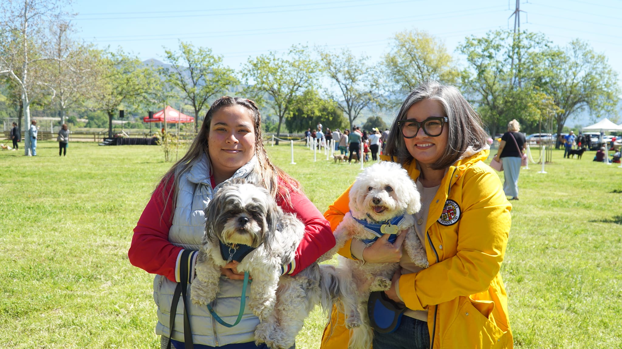 Blessing of the Animals