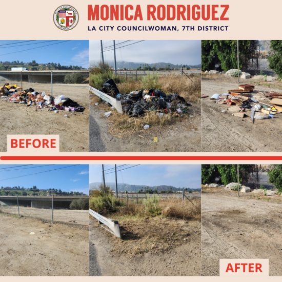 Removal of Multiple Trash Piles